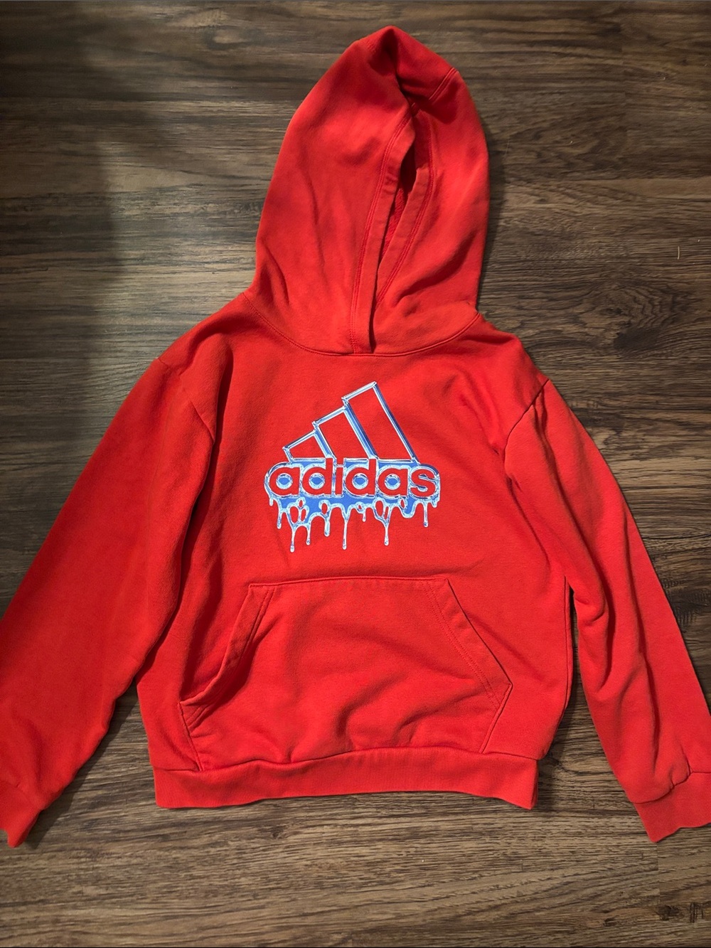 adidas Hooded Sweatshirt with Drip Logo